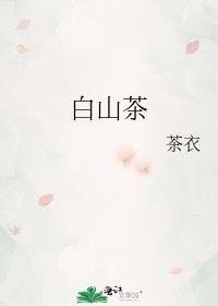 白山茶歌曲