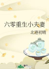 六零重生小夫妻作者北港初晴