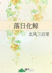 落日化鲸全文阅读