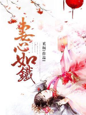 妻心如铁我爱已殇后续结局