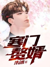 寒门赘婿是首辅谁是攻