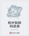 机器装甲衣服