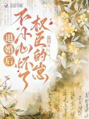 不小心怀了权臣的崽 免费