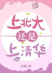 上北大还是上清华讲什么