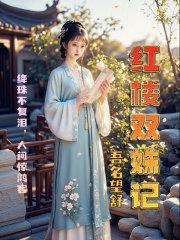 红楼梦 双女主