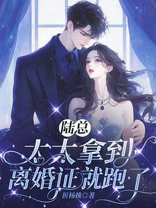 陆总太太拿到离婚证就跑了