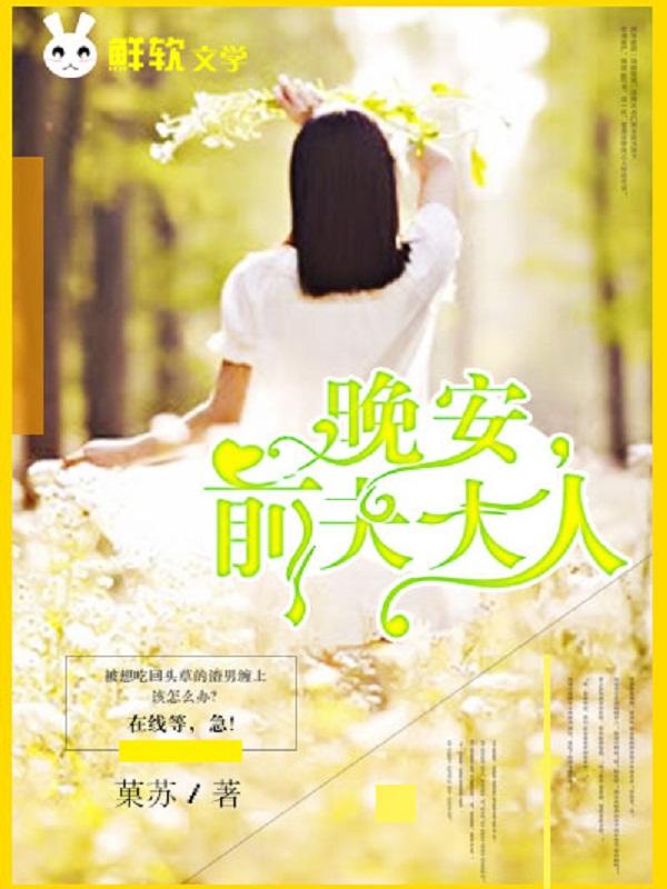 前夫全文免费阅读