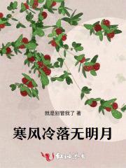 寒风冷落无明月全诗