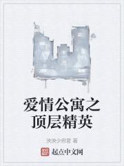 爱情公寓之顶级杀手