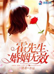 霍先生婚姻无效作者铭希
