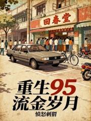 重生95流金岁月免费