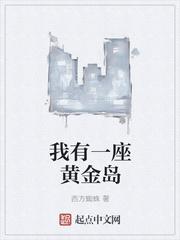 我有一座黄金岛全部目录