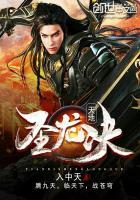 天地圣龙决境界划分