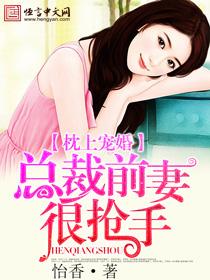 枕上欢总裁宠妻无上限