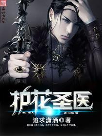 护花圣医高手之手