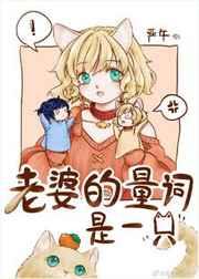 老婆的量词是一只番外