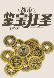 都市鉴宝狂圣TXT