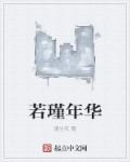 若瑾安年是什么意思