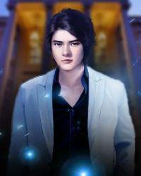 陆羽陈玉瑶的全集