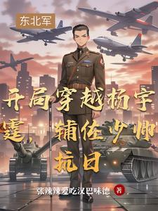 辅佐少帅抗日 第528章