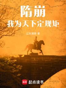 我为天下定规矩TXT