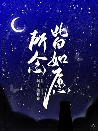 所念皆如愿上一句是什么