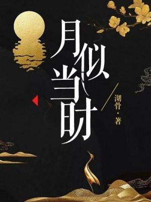 月似当时人是当时否