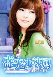 盛宠小辣妈秦昊小落全文免费阅读