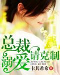 总裁溺爱
