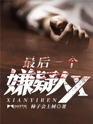 最后一个嫌疑人x电视剧