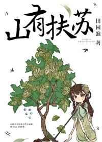 美人关什么意思