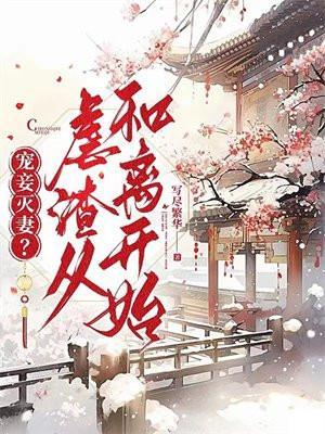 宠妾灭妻虐渣从和离开始免费阅读全文