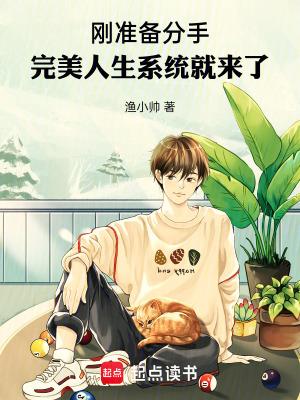 完美人生系统就来了