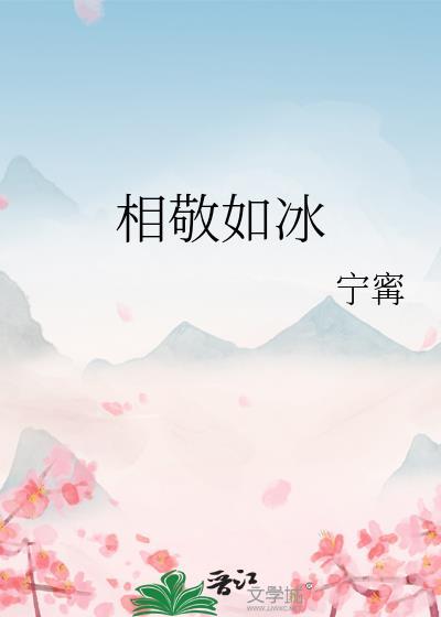相敬如冰番外