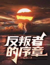 反叛者简介