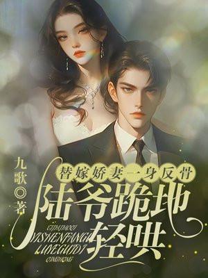 替嫁我的陆先生免费阅读