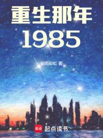 重生那年1985无防盗
