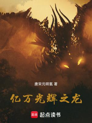 亿万光辉之龙唐宋元明氢