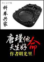 科举兴家唐瑾他天生好命2