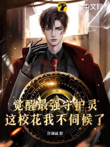 觉醒的灵魂守护者