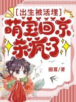 萌宝回京杀疯了完结