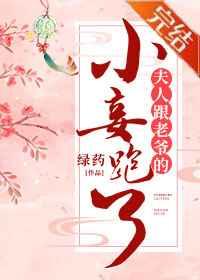 夫人跟老爷的小妾跑了免费阅读