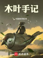 木叶手记无错版