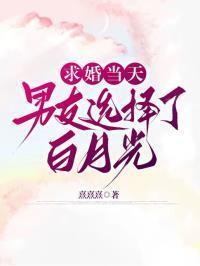 被男朋友求婚后的说说