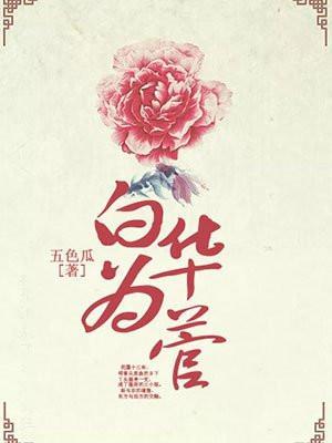 白华为菅四姐妹结局