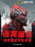 缅北电信诈骗打击对策