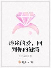 迷路的爱回到身边