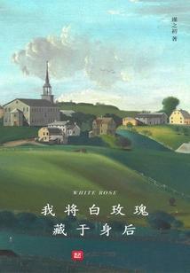 我将白玫瑰藏于身后是什么歌