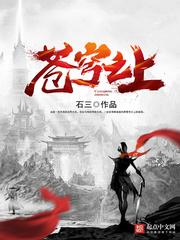 苍穹之上皇甫奇