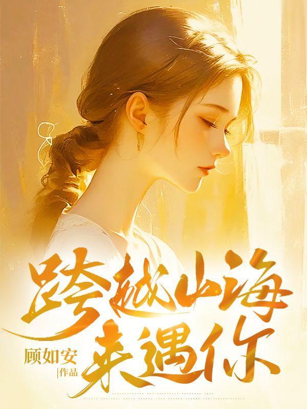 跨越山海去见你